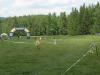 dscn0156_t1.jpg