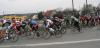 dscn1132_t1.jpg
