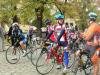 dscn6524_t1.jpg