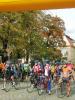 dscn6529_t1.jpg